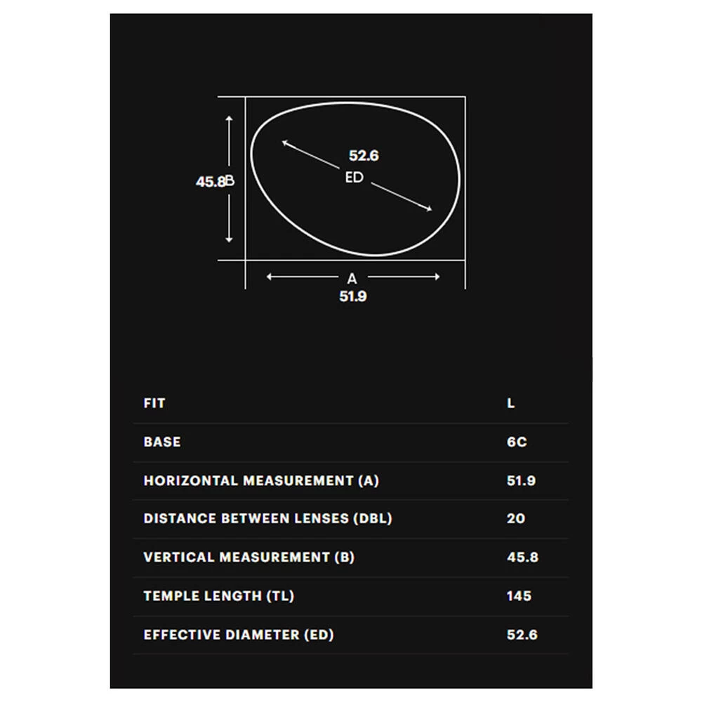 RACOON SUNGLASSES 4 RACOON SUNGLASSES - Image 4