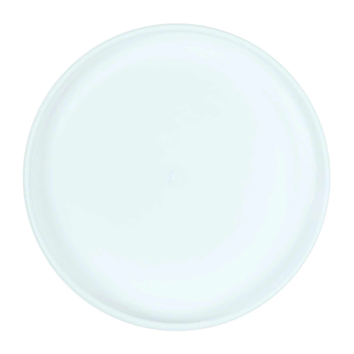 Plastic Ultimate Disc - Surf Illustration 5 Plastic Ultimate Disc - Surf Illustration - Image 5