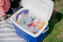 IGLOO Laguna 28QT Cool Box Red -Hike & Outdoor Deals Store kb309529a331bee3c9613a50999a7df51